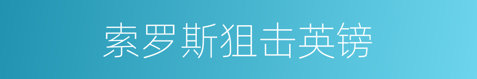 索罗斯狙击英镑的同义词