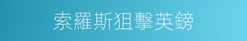 索羅斯狙擊英鎊的同義詞
