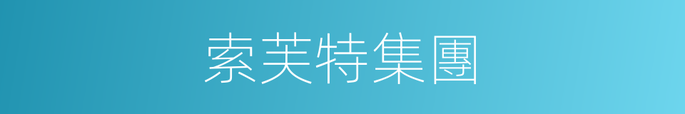 索芙特集團的同義詞