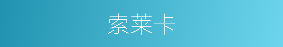 索莱卡的同义词
