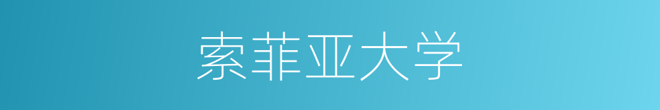 索菲亚大学的同义词