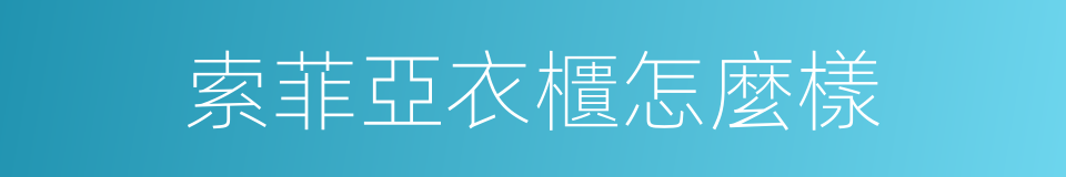 索菲亞衣櫃怎麼樣的同義詞
