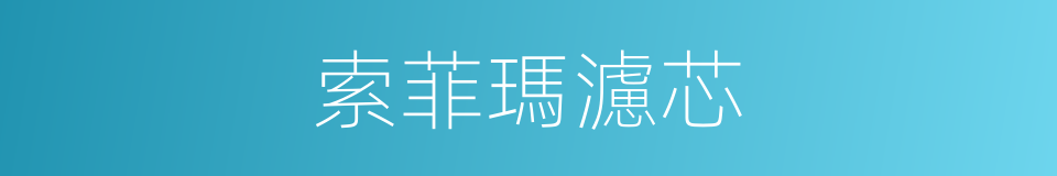 索菲瑪濾芯的同義詞