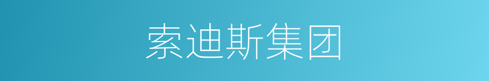 索迪斯集团的同义词