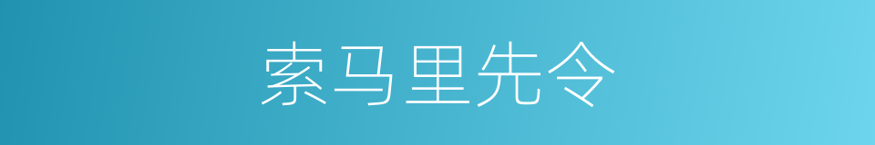 索马里先令的同义词