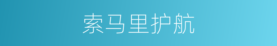 索马里护航的同义词