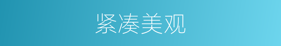 紧凑美观的同义词