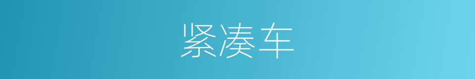 紧凑车的同义词
