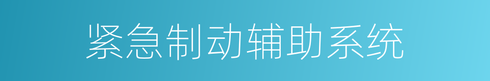 紧急制动辅助系统的同义词