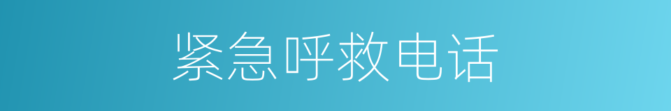 紧急呼救电话的同义词