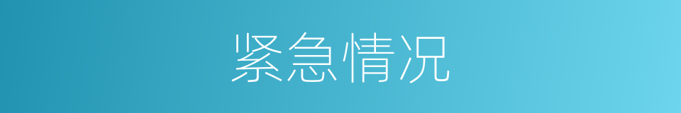 紧急情况的同义词