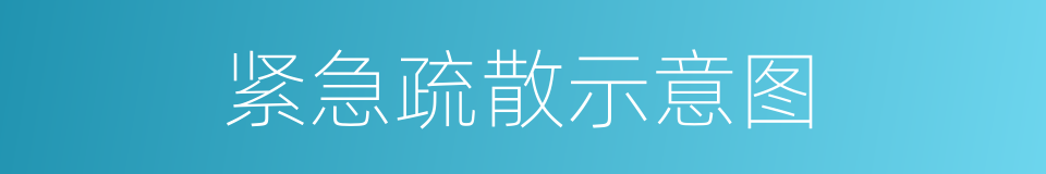 紧急疏散示意图的同义词