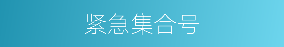 紧急集合号的同义词