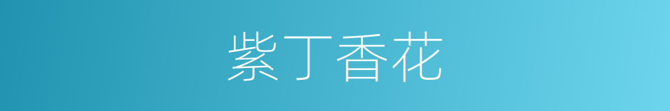 紫丁香花的同义词