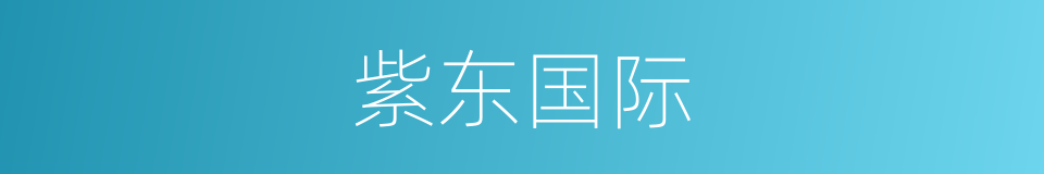 紫东国际的同义词