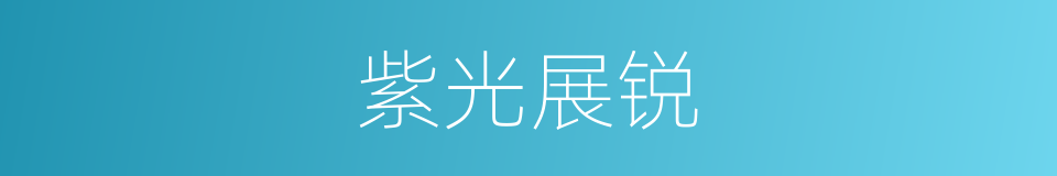 紫光展锐的同义词