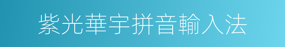 紫光華宇拼音輸入法的同義詞