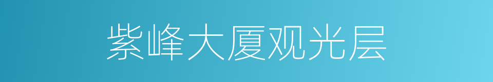 紫峰大厦观光层的同义词