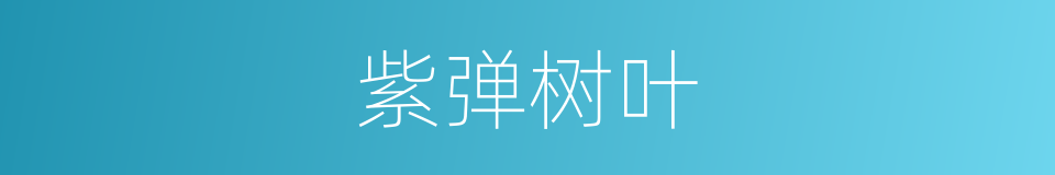 紫弹树叶的同义词