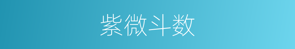 紫微斗数的同义词
