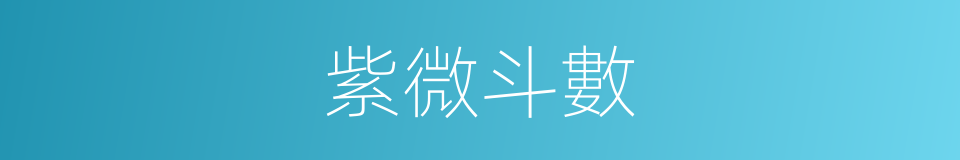 紫微斗數的同義詞