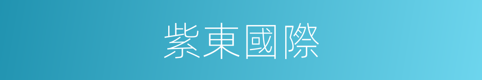 紫東國際的同義詞