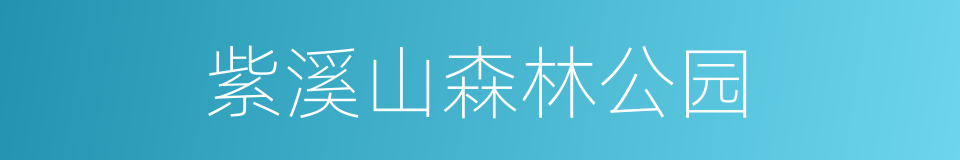 紫溪山森林公园的同义词