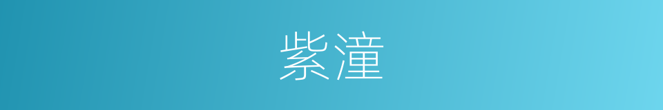 紫潼的同义词