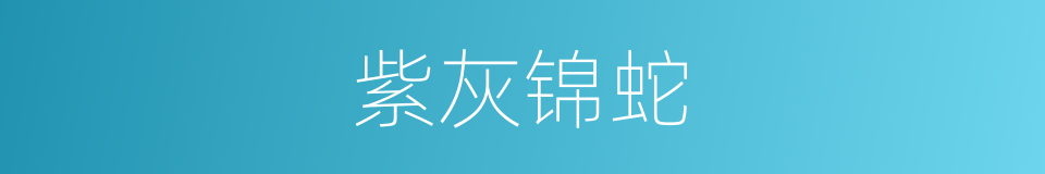 紫灰锦蛇的同义词