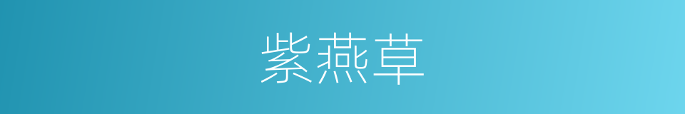紫燕草的同义词