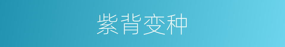 紫背变种的同义词