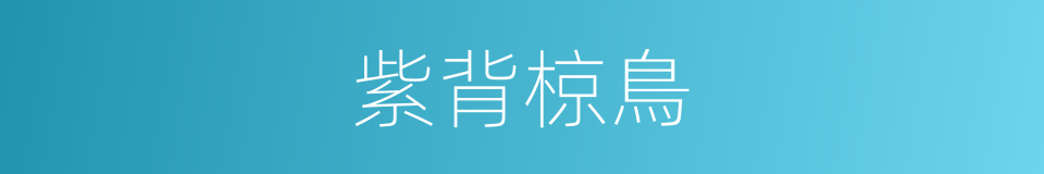 紫背椋鳥的同義詞