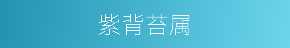 紫背苔属的同义词