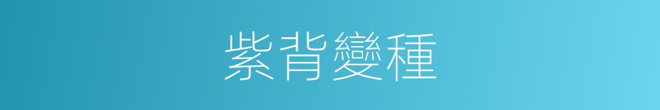 紫背變種的同義詞