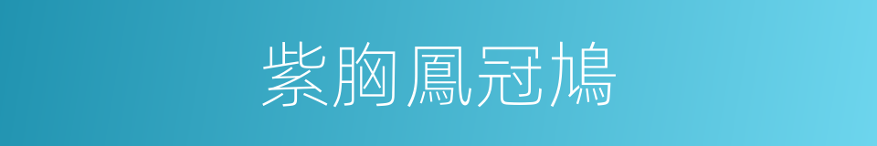紫胸鳳冠鳩的同義詞