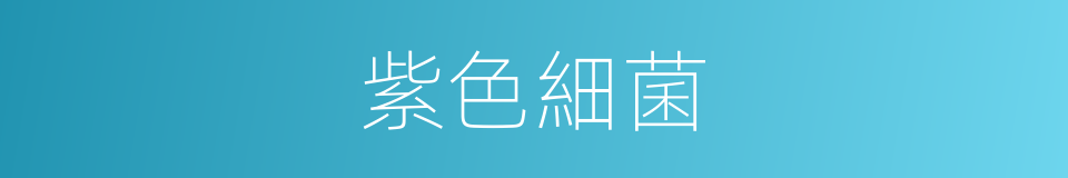 紫色細菌的同義詞