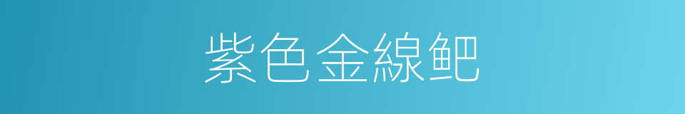 紫色金線鲃的同義詞