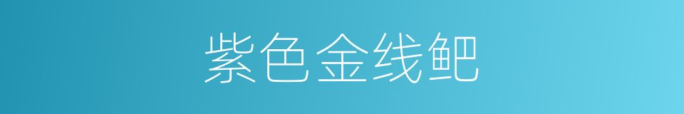 紫色金线鲃的同义词