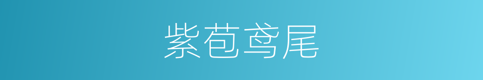 紫苞鸢尾的同义词
