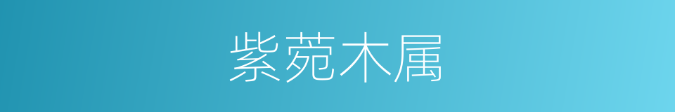 紫菀木属的同义词