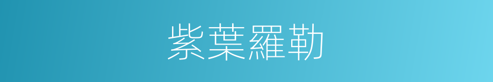紫葉羅勒的同義詞