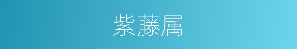 紫藤属的同义词