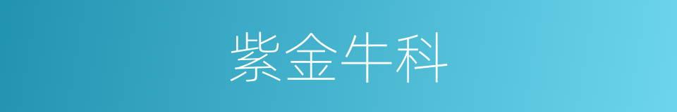 紫金牛科的同义词