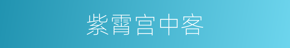紫霄宫中客的同义词