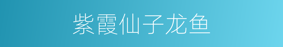 紫霞仙子龙鱼的同义词