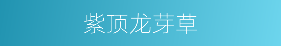 紫顶龙芽草的同义词