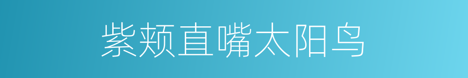 紫颊直嘴太阳鸟的同义词