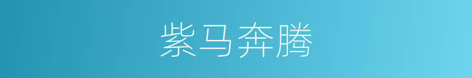 紫马奔腾的同义词