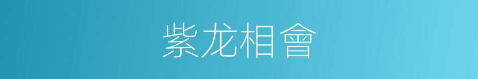 紫龙相會的同義詞