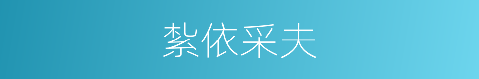 紮依采夫的同義詞